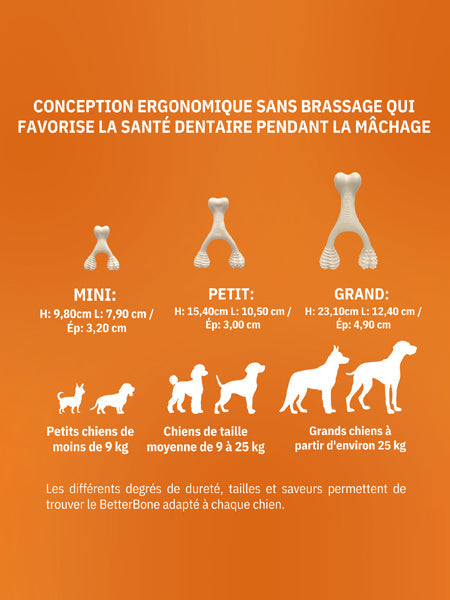 Jouet à mâcher pour chien