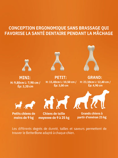 Jouet à mâcher pour chien