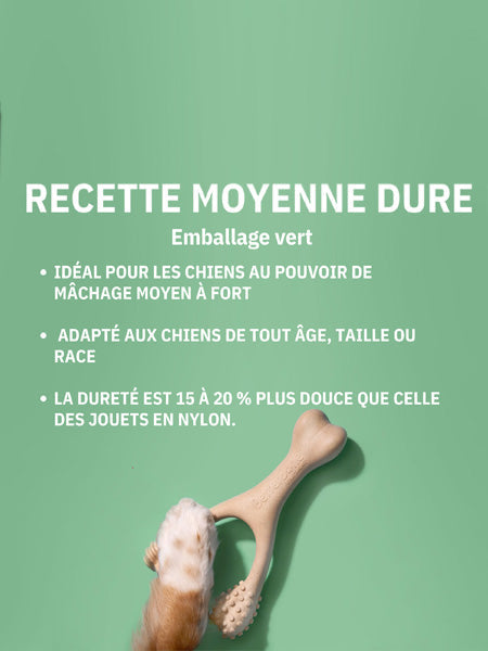 Jouet à mâcher pour chien
