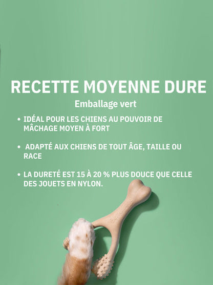 Jouet à mâcher pour chien