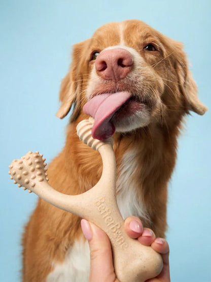 Jouet à mâcher pour chien