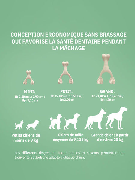 Jouet à mâcher pour chien