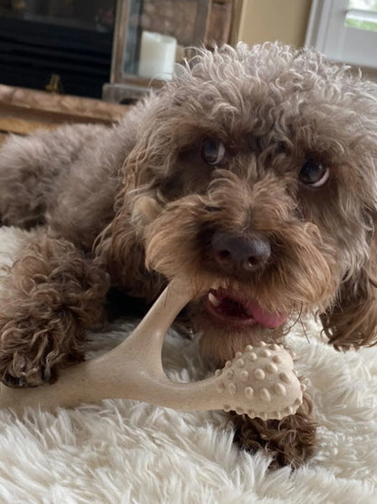 Jouet à mâcher pour chien