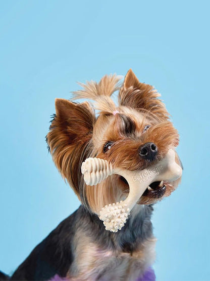 Jouet à mâcher pour chiots ou chien séniors