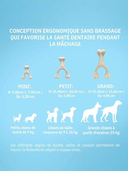 Jouet à mâcher pour chiots ou chien séniors