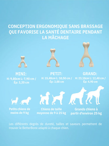 Jouet à mâcher pour chiots ou chien séniors