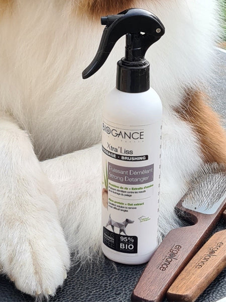Brosse carde pour chiens et chats - Biogance