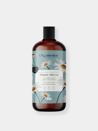 Shampoing pour chien