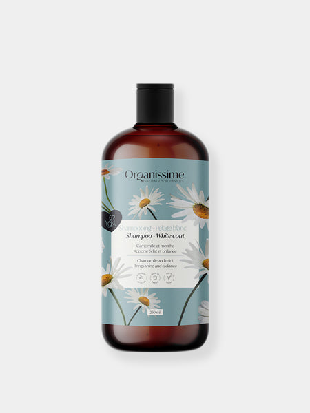 Shampoing pour chien