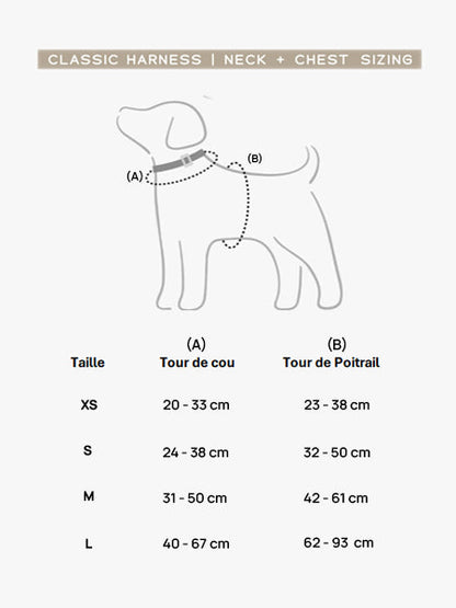 Harnais pour chien - Desert Dawn - Bop Pop Pets