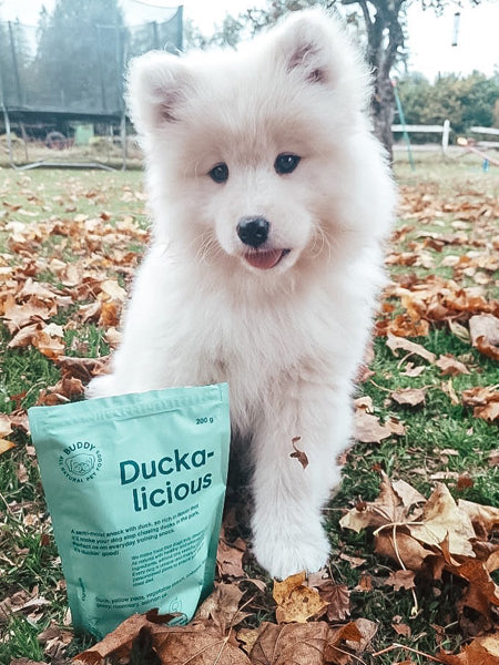 Friandises saines pour chien - Duckalicious - Canard