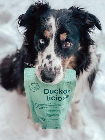 Friandises saines pour chien