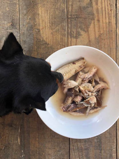 Sardines de la côte Atlantique au naturel pour chien