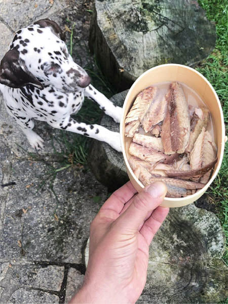 Sardines de la côte Atlantique au naturel pour chien