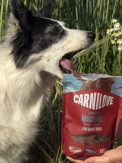 Friandises croquantes pour chien