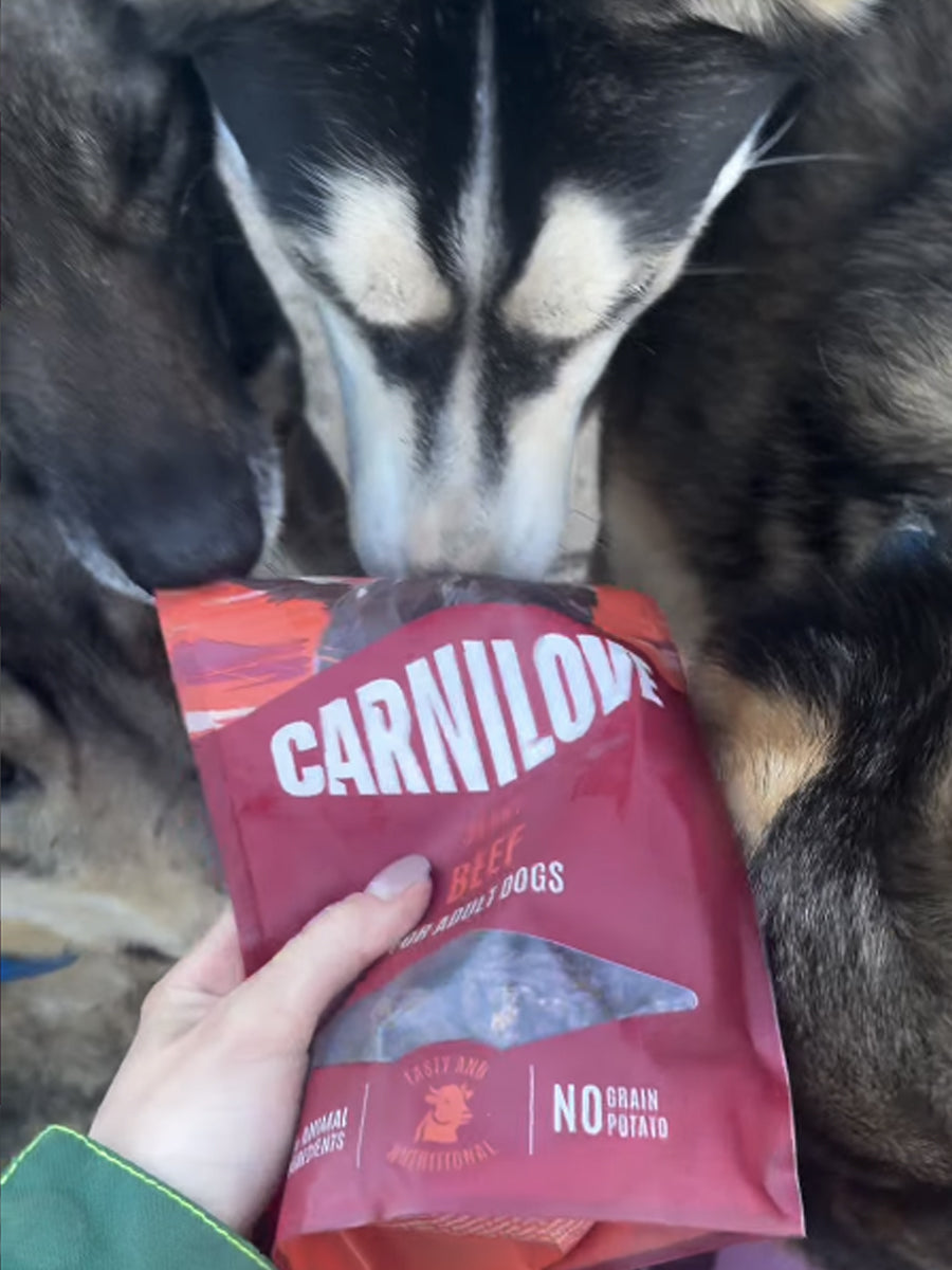 Friandises Jerky pour chien