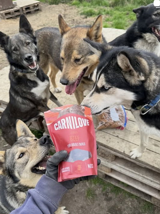 Friandises Carnilove Jerky pour chien - Muscle de Boeuf 🐂