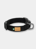 Collier pour chien