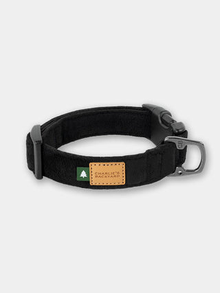 Collier pour chien