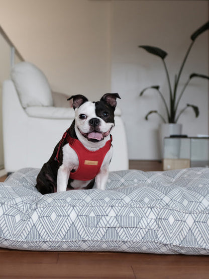 Harnais pour chien Confort Charlie's Backyard - Rouge