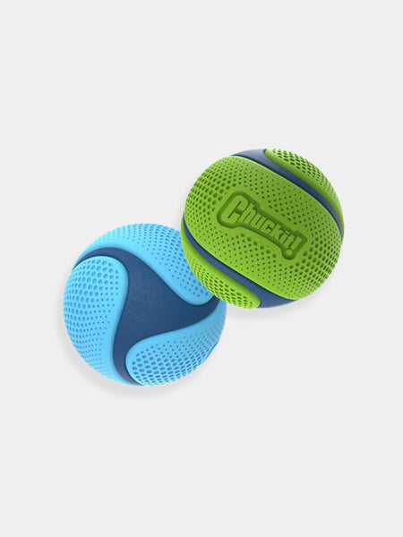2 balles pour chien - Sniff Fetch Ball - Chuck It! - Taille M