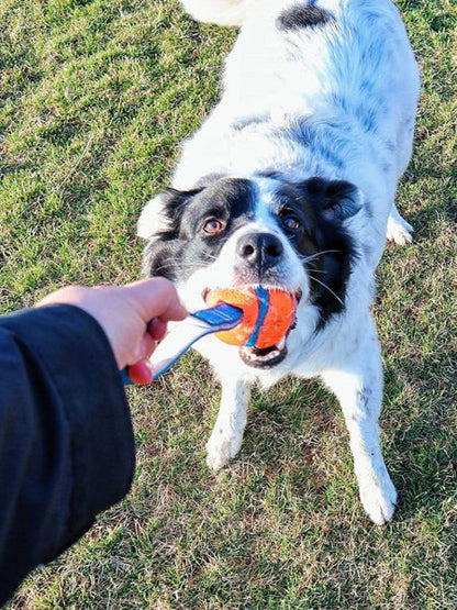 Balle pour chien Ultra Tug Chuck It! - Taille M