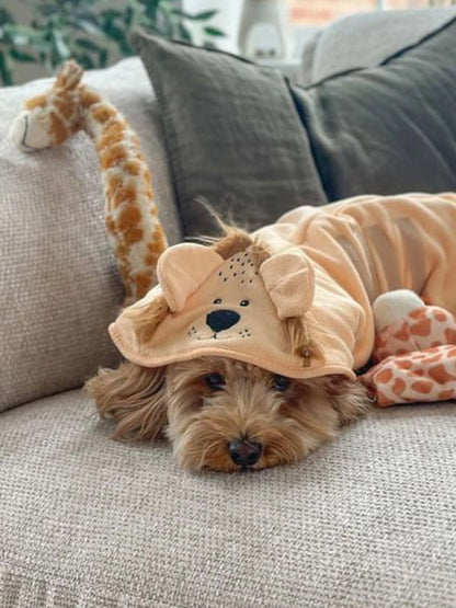 Peignoir de séchage pour chien - Lion 🦁 - Cocopup London