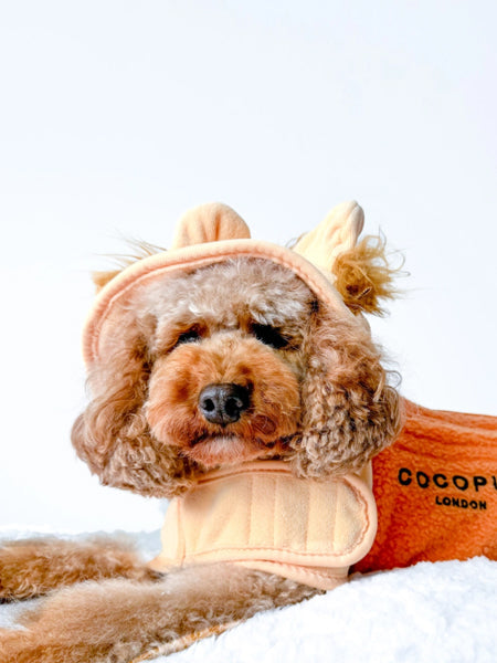 Peignoir de séchage pour chien - Lion 🦁 - Cocopup London