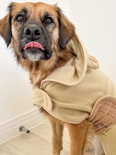 Peignoir de séchage pour chien - Teddybear 🐻 - Cocopup London