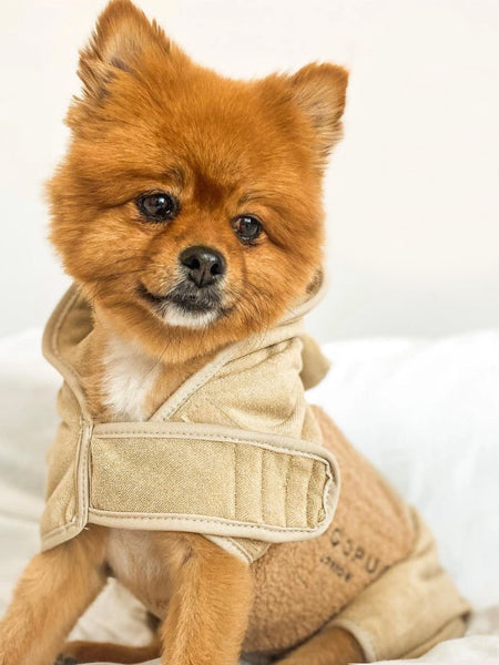 Peignoir de séchage pour chien - Teddybear 🐻 - Cocopup London