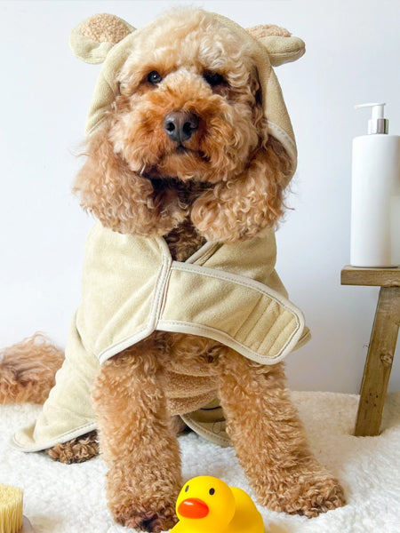 Peignoir de séchage pour chien - Teddybear 🐻 - Cocopup London