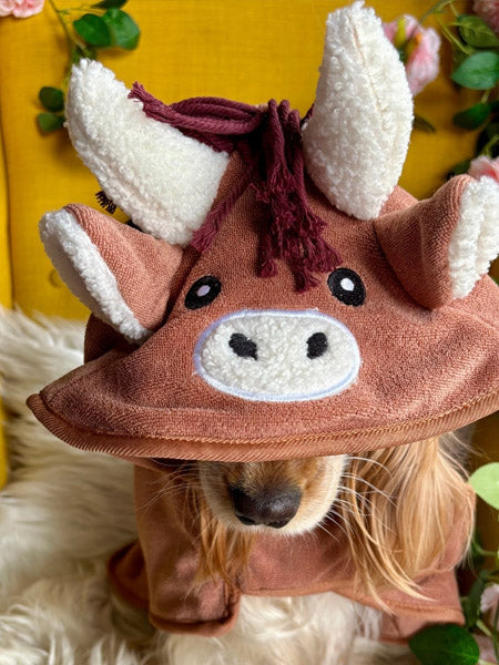 Peignoir de séchage pour chien