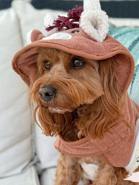 Peignoir de séchage pour chien