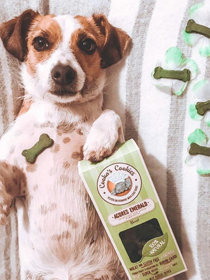 Biscuits pomme & spiruline pour chien