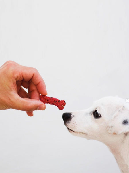 Biscuits Detox pour chien