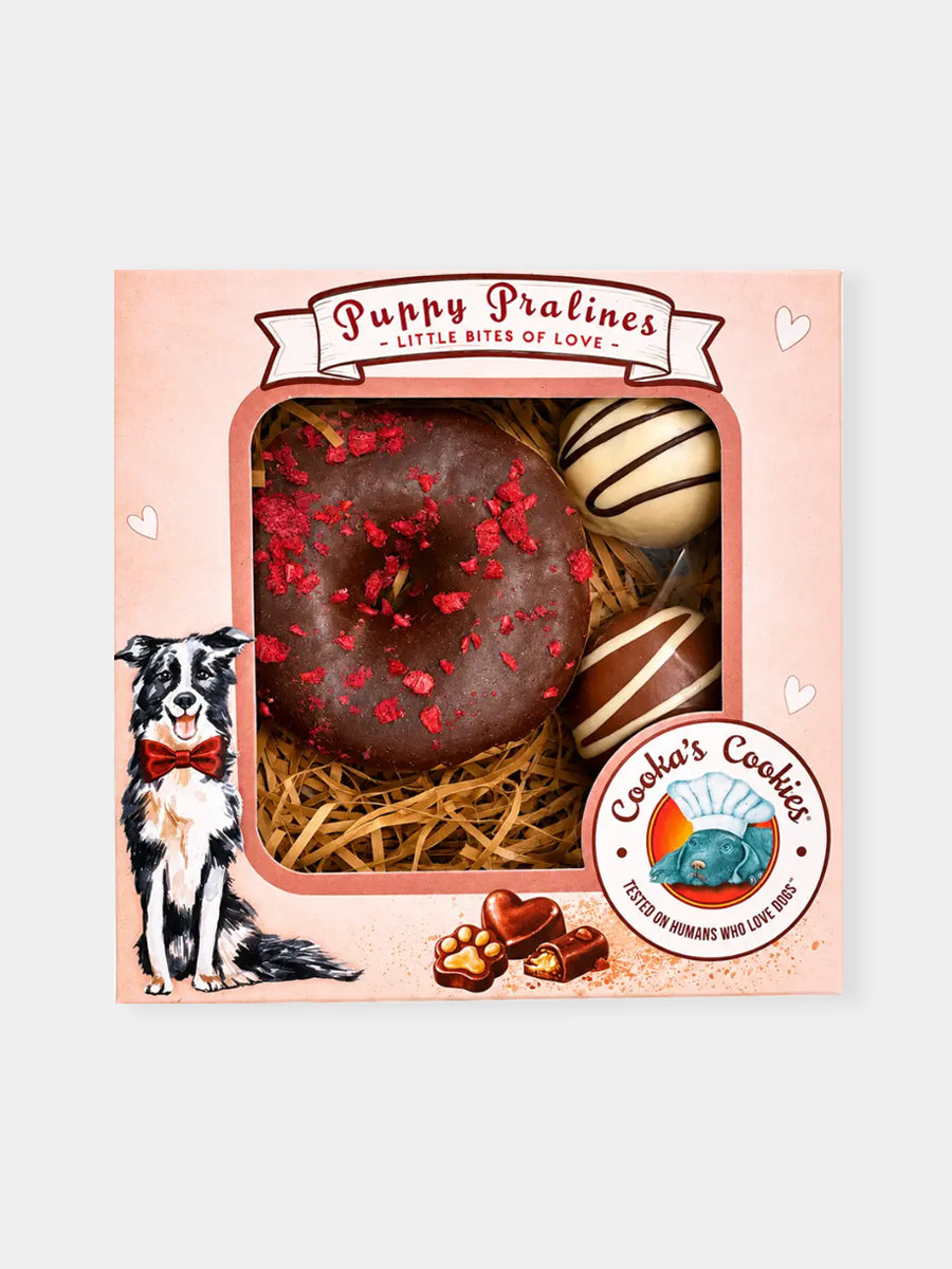 Assortiments de 3 gâteaux pour chien