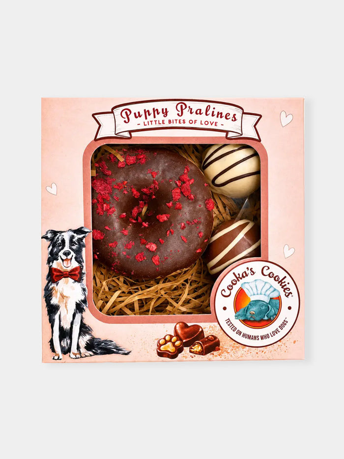 Assortiments de 3 gâteaux pour chien