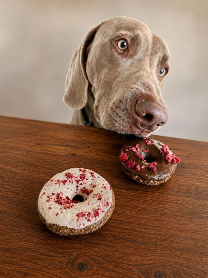 Assortiments de 3 gâteaux pour chien