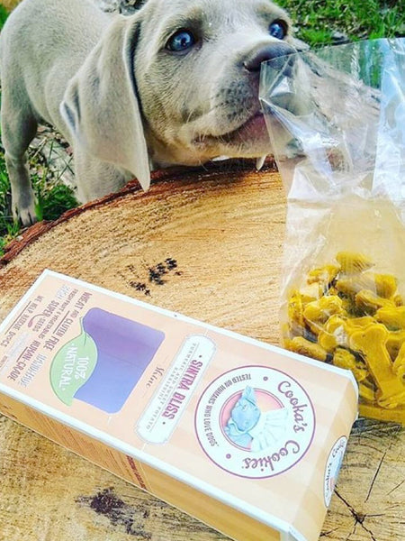 Biscuits curcuma & patate douce pour chien