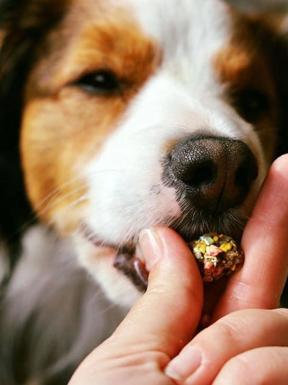 Biscuits de pâques pour chien - Happy Bonbon 🥕 - Cooka's Cookies
