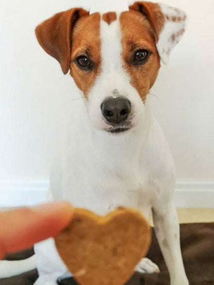 Biscuits Artisanaux pour chien