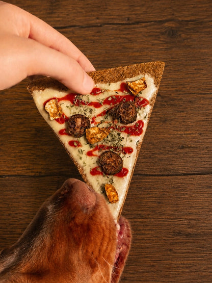 Gâteau pour chien Doggie Pizza 🍕 – Cooka's Cookies