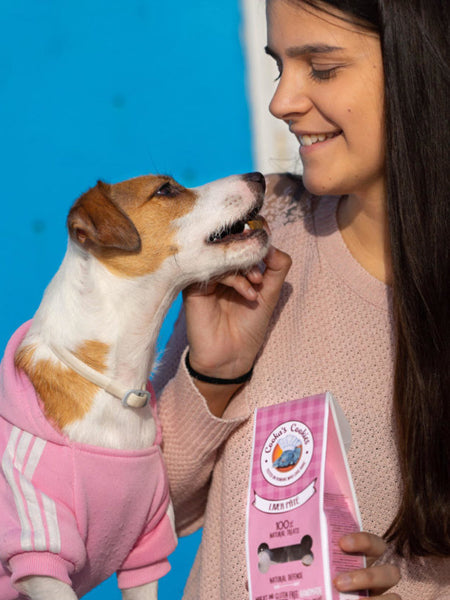 Biscuits Antioxydants pour chien