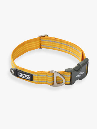 Collier pour chien