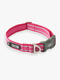 Collier pour chien