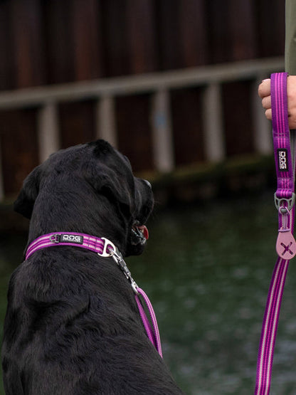 Laisse ajustable pour chien -  Urban Freestyle Violet - Dog Copenhagen