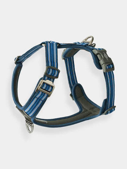 Harnais Bleu pour chien