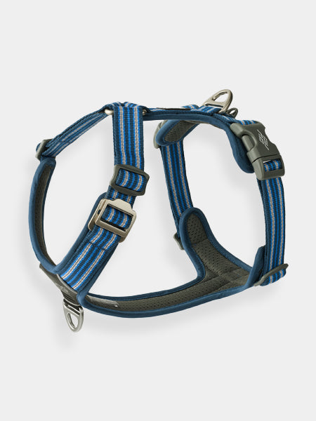 Harnais Bleu pour chien - Comfort Walk Air 3.0 - DOG Copenhagen