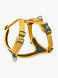 Harnais Lemon pour chien