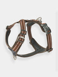 Harnais Marron pour chien